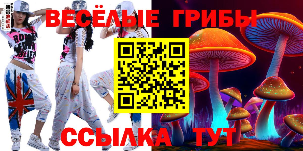 Псилоцибиновые грибы MAGIC MUSHROOMS  Псилоцибиновые грибы Cubensis  Кузнецк  Вход с VPN 