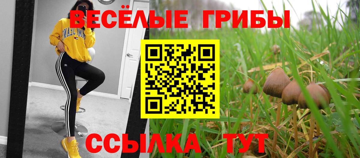 Псилоцибиновые грибы Cubensis Кузнецк